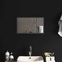 Syfax Miroir de salle de bain LED, transparent, 50 x 30 cm, en verre trempé