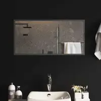 Syfax Miroir de salle de bain LED, transparent, 80 x 40 cm, en verre trempé