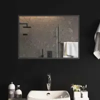 Syfax Miroir de salle de bain LED, transparent, 70 x 50 cm, en verre trempé
