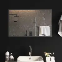 Syfax Miroir de salle de bain LED, transparent, 80 x 50 cm, en verre trempé