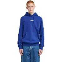 Element Sweat à Capuche Lowcase Bp
