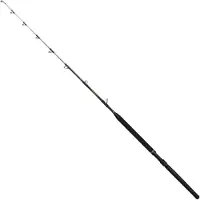 Penn Regiment Iv Trolling Rod Argenté 1.98 m / 30-60 Lbs