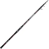 Sele Caribe Surfcasting Rod Argenté 3.60 m / 100-200 g