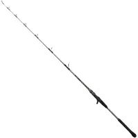 Penn Canne Jigging Regiment Iv