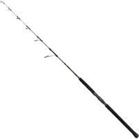 Penn Regiment Iv Pro Jigging Rod Argenté 1.65 m / 150-300 g