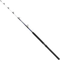 Penn Battalion Iii Pro S Jigging Rod Argenté 1.60 m / 50-80 Lbs