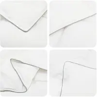 Syfax Ensemble de couettes en duvet de canard, 90% duvet de canard FULDA, 3 pièces, 220 x 240 cm, modèle été