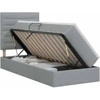 Syfax Lit coffre avec matelas, couleur gris clair, dimensions 90 x 200 cm, revêtement en tissu