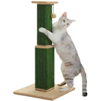 StarTech.com Arbre à gratter pour chats - Modèle XS - Poteau en bois stable - Avec jouet suspendu - Adapté aux chatons et aux chats adultes - Vert