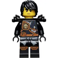 LEGO Minifigur Cole - Protège-genoux, armure, cheveux – Ninjago (njo0250) – neuf
