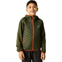 Regatta Andreson Jacket Vert 8 Years Enfants