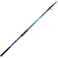 Sele Holiday Surfcasting Rod Argenté 3.60 m / 150 g