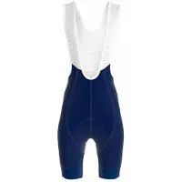 Bioracer Icon Prj22 Bib Shorts Bleu XS Homme