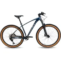 RALI Adv 0 Carbon 29´´ Slx Mtb Bike Bleu M