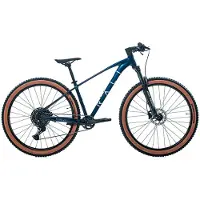 RALI R-pro 2.0 29´´ Cues Mtb Bike Bleu M