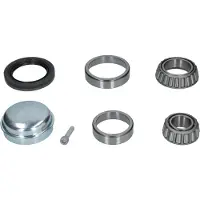 Skf Jeu de roulements de roue VKBA 6530