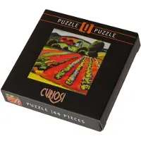 Curiosity Games Puzzle carré Q Type : Paysage au bord du lac Tegernsee 66 pièces