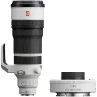 Sony FE 100-400mm F/4.5 GM + 1.4x Teleconverter