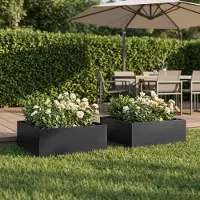 Prolenta Maison Exclusive - Lot de 2 pots de jardin, couleur noire, dimensions 40 x 40 x 20 cm