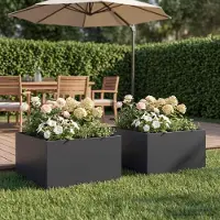 Prolenta Maison Exclusive - Deux pots de jardin, couleur noire, dimensions 60 x 60 x 30 cm