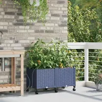 Prolenta Maison Exclusive - Deux jardinières pour fleurs avec système d'arrosage et roues, couleur grise, en plastique PP