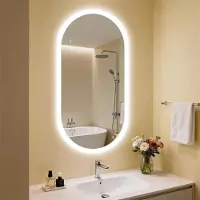StarTech.com Miroir de salle de bain LED - Miroir mural ovale - 50x100 cm - Éclairage intégré - Anti-buée - Capteur tactile avec fonction mémoire - Indice de protection IP44