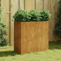 Prolenta Maison Exclusive - Jardinière en acier Corten, dimensions 80x40x80 cm