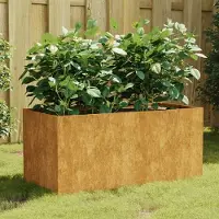 Prolenta Maison Exclusive - Jardinière en acier Corten, dimensions 80x40x40 cm