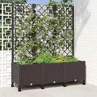 Prolenta Maison Exclusive - Jardinière avec treillis et roulettes, couleur marron, 120 x 40 x 146 cm, en polypropylène