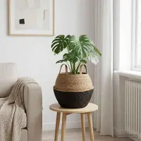 Prolenta Maison Exclusive - Jardinière en herbe marine noire, avec poignées, diamètre 32 x 32 cm, 100% herbe marine