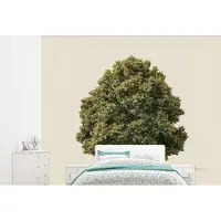 OEM Mur photo en bois de chêne vert - Largeur 375 cm x Hauteur 300 cm