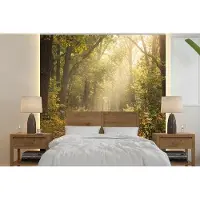 OEM Papier peint pour pergola de jardin - Motif : arbres - Largeur : 350 cm x Hauteur : 350 cm