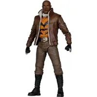 Mcfarlane Toys Figurine d'action DC Multiverse Bronze Tiger (The New 52) de 17,8 cm (7 pouces) de