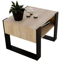RAUMHIRSCH FURNITURE raumhirsch : Table basse Karo65, design moderne et stable, idéale pour le salon, fabriquée en panneaux de bois