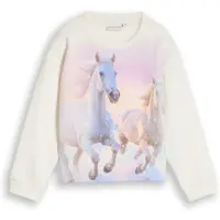 Tom Tailor Sweat-shirt brun foncé / bleu violet / rose / blanc