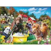 Sunsout Puzzle Sports d'eau - 1000 pièces