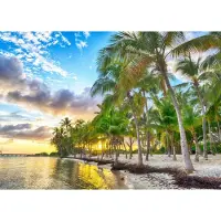 Bluebird Puzzle Puzzle Guadeloupe - Anse Champagne - 500 à 999 pièces