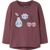 Name it T-Shirt 'NMFVIX' bleu clair / sapin / prune / baie