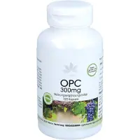 Warnke Vitalstoffe GmbH HERBADIREKT OPC 300 mg : capsules à base d'extrait de pépins de raisin, boîte de 120 capsules