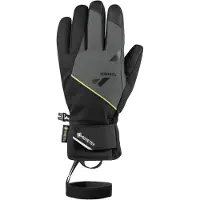 Zanier Planai.gore-tex Gloves Noir 10