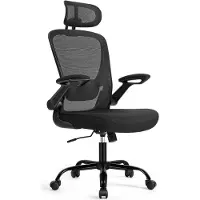 Songmics Ergonomischer Bürostuhl (46 - 54 cm)