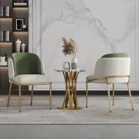 Flieks Ensemble de 2 chaises de salle à manger ergonomiques, avec pieds inclinés, pieds réglables, assises rembourrées, chaises de cuisine, dimensions 55x55x85 cm, couleur vert et doré
