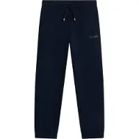 Tommy Hilfiger Pantalon bleu marine