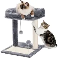StarTech.com Kratzbaum d'escalade pour chat - Tour XS - Hauteur 44 cm - 2 niveaux - Panier supérieur amovible - Panneau à gratter - Deux poteaux à gratter - Idéal pour les chats d'intérieur