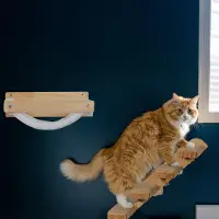Northix Escalier mural pour chat : 4 marches pour grimper et gratter