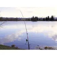Delphin DANGER CatFISH Canne à pêche 2,85 m 350 g 2 pièces