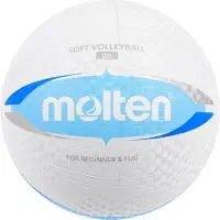 Molten - « Volten » Ballon de volley-ball PP533 (5) (Blanc/Bleu)