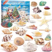 OEM Calendrier de l'Avent 2025 - Cadeau de Noël - Coquillages - Étoiles de mer - Coquilles - Thème de la plage - Compte à rebours pour Noël - 24 couleurs/formes différentes - Décorations pour la maison