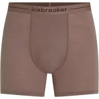 Icebreaker Anatomica Boxers Marron XL Homme