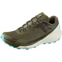 Salomon Sense Ride 3, modèle "Winetasting / Alloy / Burnt Coral", taille 42 (Europe)